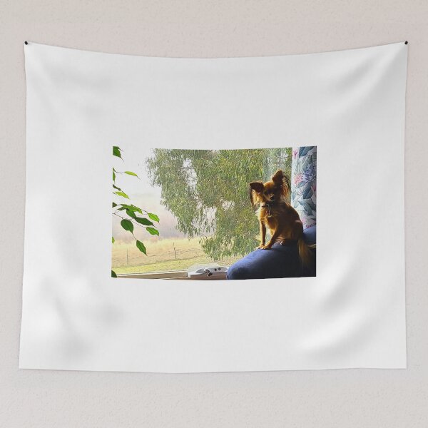 Item preview, Finnick designed and sold by Asoka.