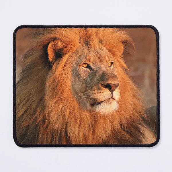 Item preview, Black mane in the golden light designed and sold by John Banks.
