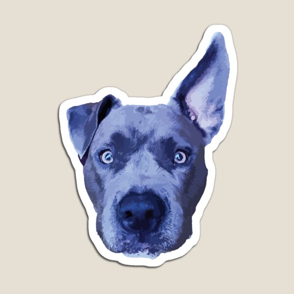 Artikelvorschau, Violet, der Pitbull mit der blauen Nase entworfen und verkauft von Hanreb.