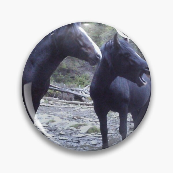 Item preview, Funny Alberta wild horses designed and sold by amymayb.
