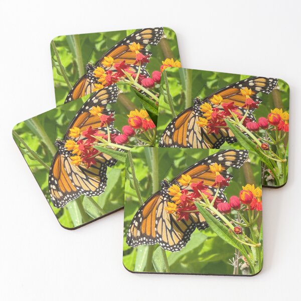Aperçu de l'œuvre ailes de papillon créée et vendue par Margaret Shark.