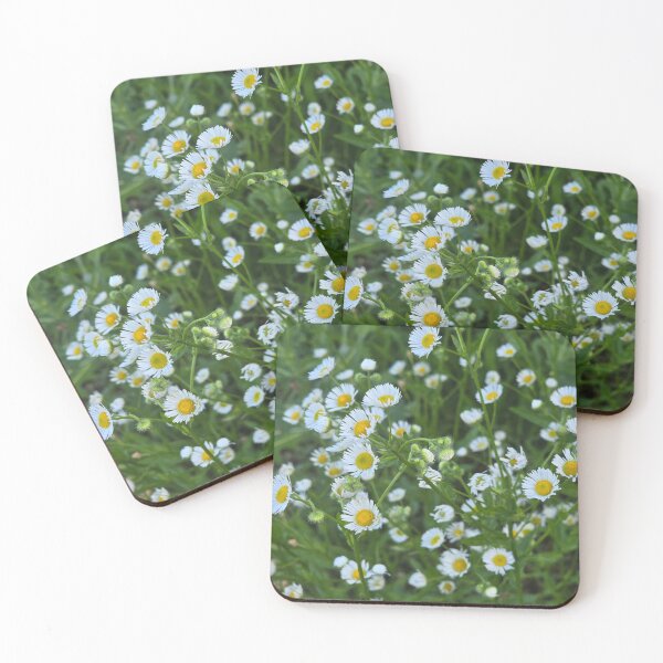 Item preview, Wild and Happy  designed and sold by Judy Miller.