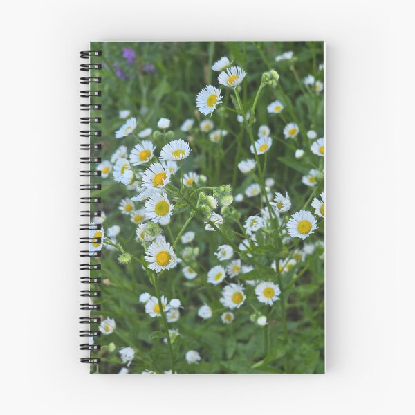 Item preview, Wild and Happy  designed and sold by Judy Miller.
