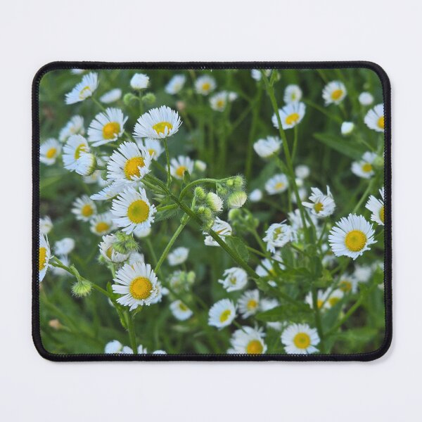 Item preview, Wild and Happy designed and sold by Judy Miller.