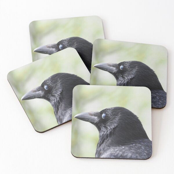 Item preview, Crow designed and sold by Madcreat.