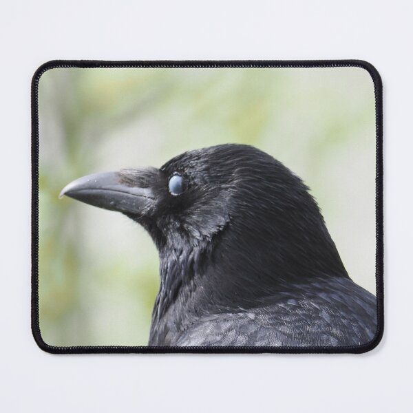 Item preview, Crow designed and sold by Madcreat.