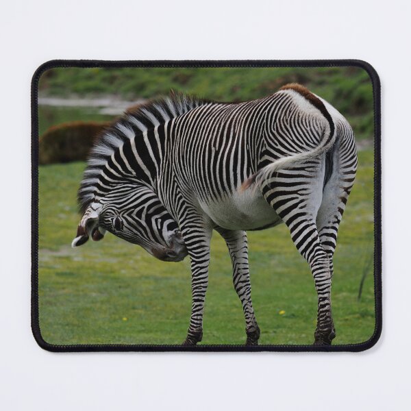 Item preview, Zebra designed and sold by Madcreat.