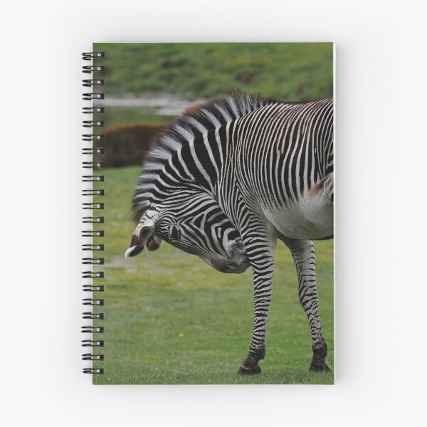 Item preview, Zebra designed and sold by Madcreat.