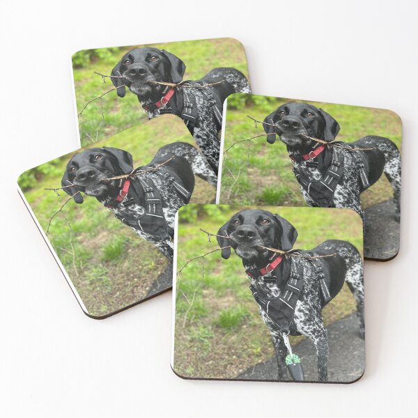 Item preview, German shorthand pointer  designed and sold by Lauracolleen3.