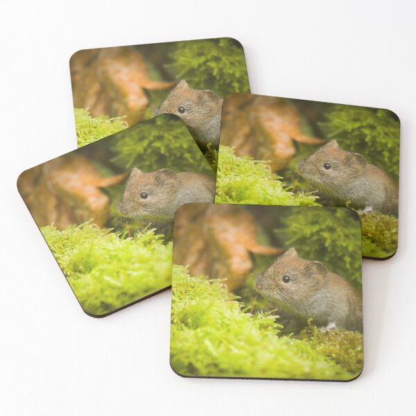 Item preview, A Small Step designed and sold by CBoyle.