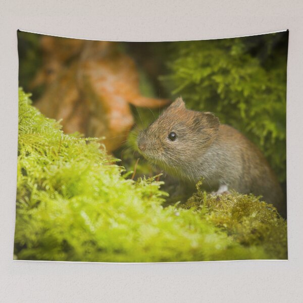Item preview, A Small Step designed and sold by CBoyle.