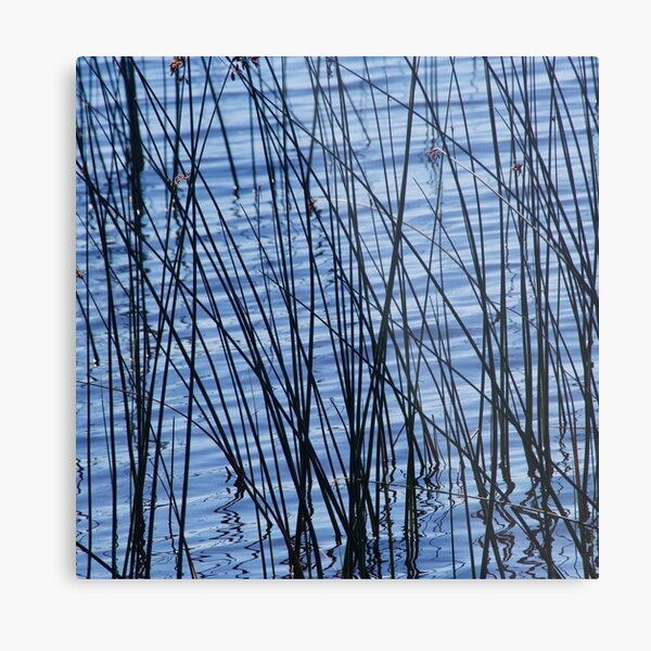 Item preview, Reeds Growing In A lake designed and sold by Designsbygroovy.