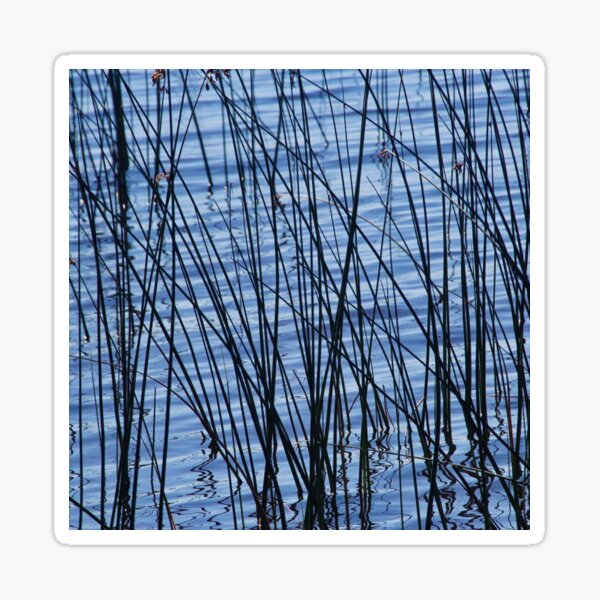 Item preview, Reeds Growing In A lake designed and sold by Designsbygroovy.