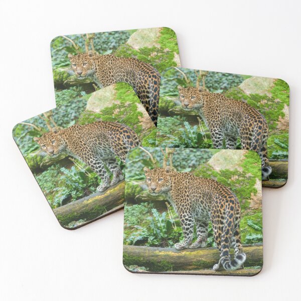 Item preview, Fierce Elegance Jaguar's Gaze designed and sold by rawshutterbug.