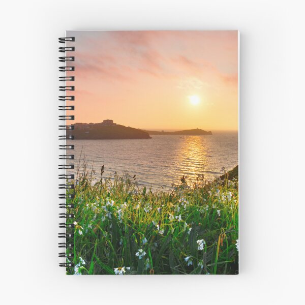 Item preview, Newquay Sunset designed and sold by Alisonchambers2.