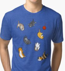 Kitten Rain Tri-blend T-Shirt