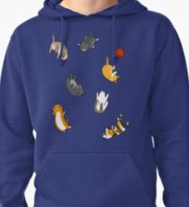Kitten Rain Pullover Hoodie