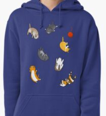 Kitten Rain Pullover Hoodie