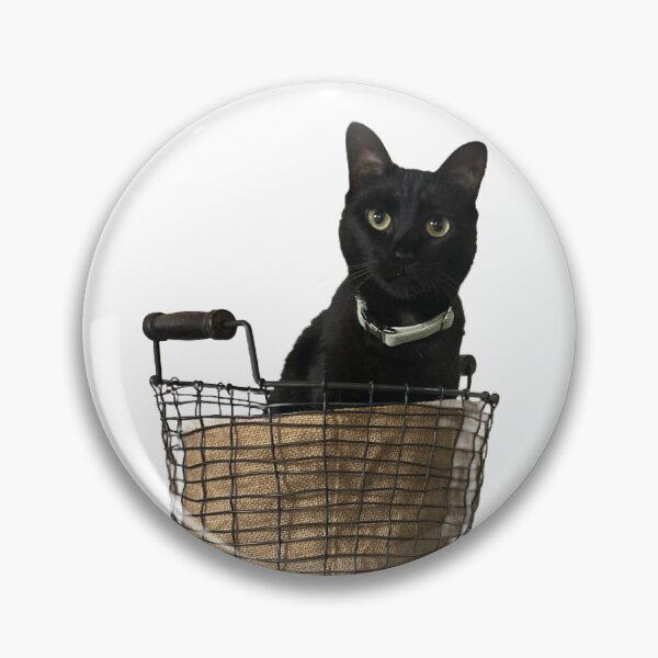 Item preview, Hallie in her basket, black cat designed and sold by Lauracolleen3.