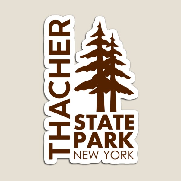 Mount Marcy adirondacks design Magnet