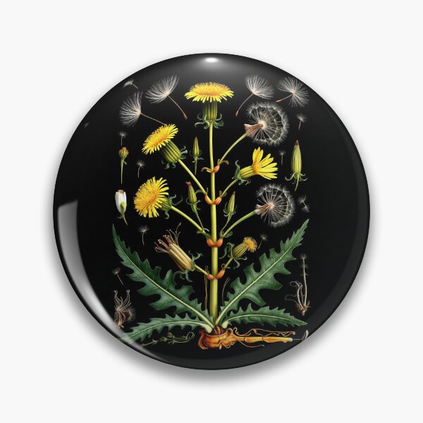 Item preview, Detailed Botanical Illustration of Dandelion in Green, Yellow, and White designed and sold by SplashTastic.