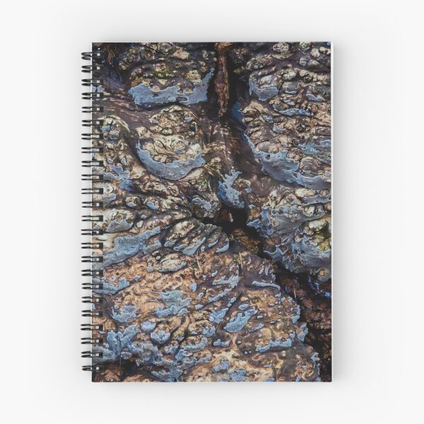 Item preview, Gnarled Textures designed and sold by Eidetic Photos.