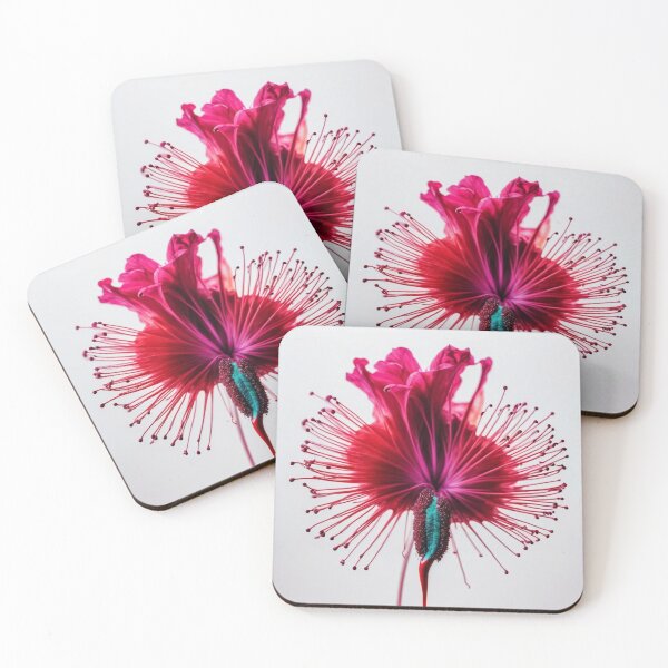 Item preview, Exquisite fauna designed and sold by tatty58.