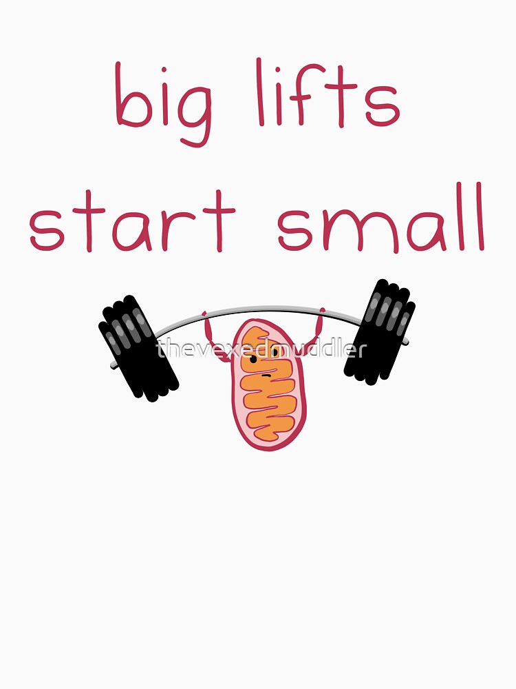 Big lifts start small by thevexedmuddler