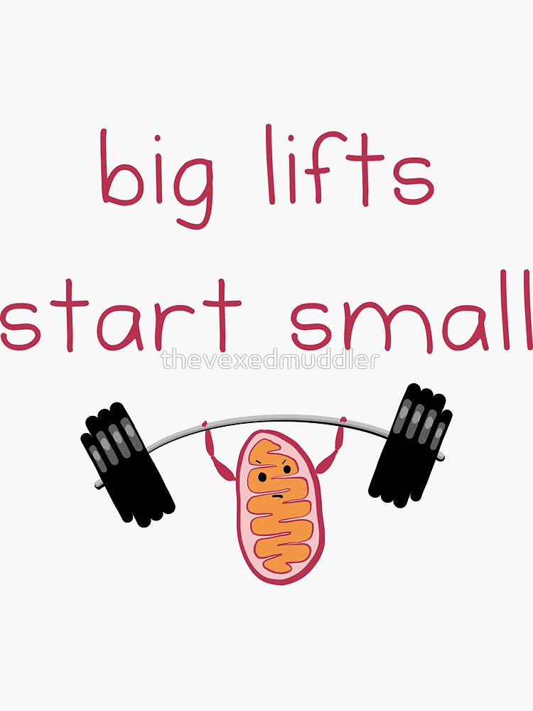 Big lifts start small by thevexedmuddler