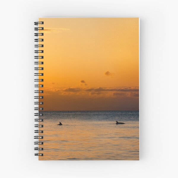 Item preview, Dolphins at Tangalooma Island Resort, Moreton Island, Queensland, Australia designed and sold by dylanmorgan.