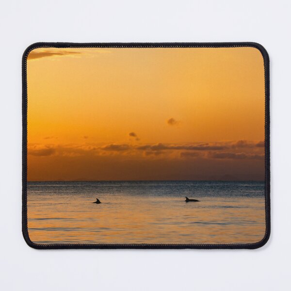 Item preview, Dolphins at Tangalooma Island Resort, Moreton Island, Queensland, Australia designed and sold by dylanmorgan.