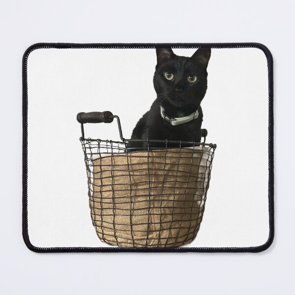 Item preview, Hallie in her basket, black cat designed and sold by Lauracolleen3.