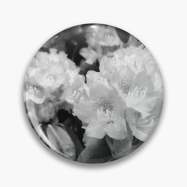 Artikelvorschau, Rhododendronblüten in Schwarz und Weiß entworfen und verkauft von Taina Sohlman.