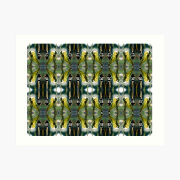 Corn Smut (Ustilago maydis) Art Print