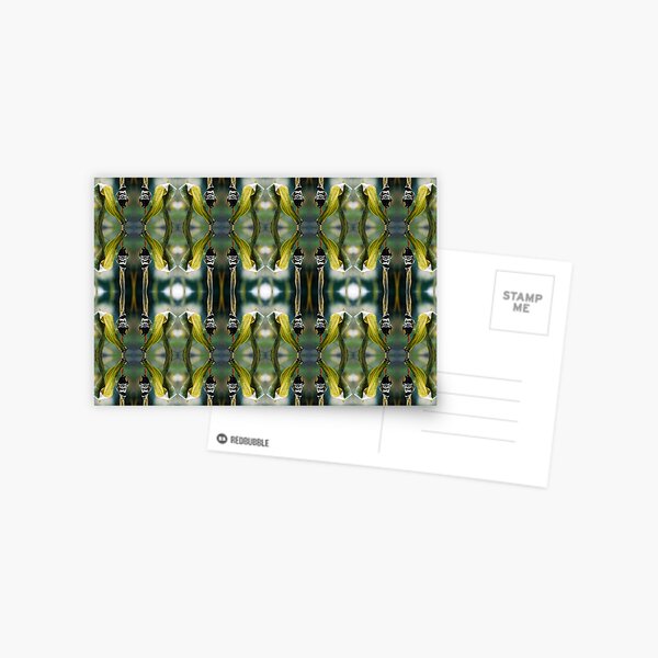 Corn Smut (Ustilago maydis) Postcard