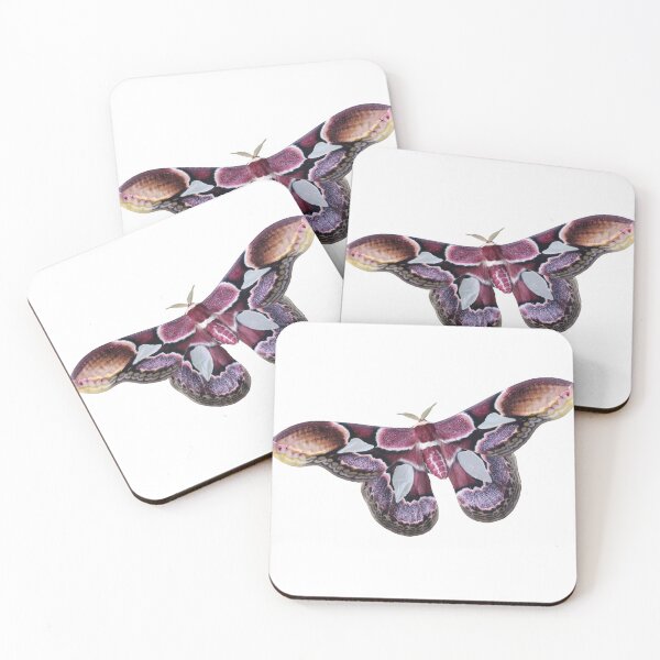 Item preview, Rothschildia erycina silkmoth  designed and sold by Entomologist.