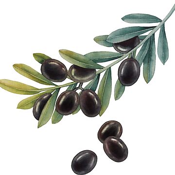 Artwork thumbnail, Watercolor black olive branch by Ekaterina Glazkova