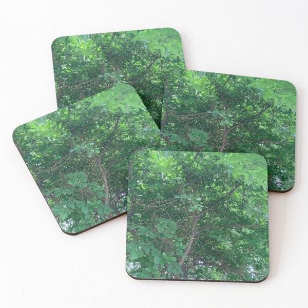 Item preview, The Jungles of New England  designed and sold by Amanda1775.