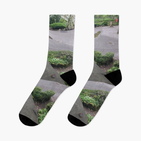 Item preview, #343 |☼| Down The Wooden Hand Rail (Matlock Bath) designed and sold by Naean H.F. (Nez Man).