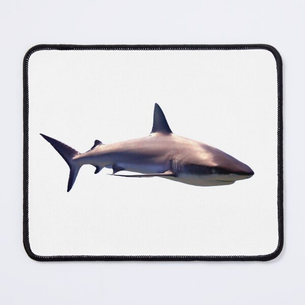 Item preview, Sharky designed and sold by vazda21.