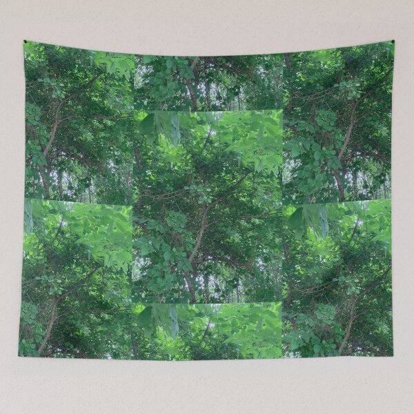 Item preview, The Jungles of New England  designed and sold by Amanda1775.