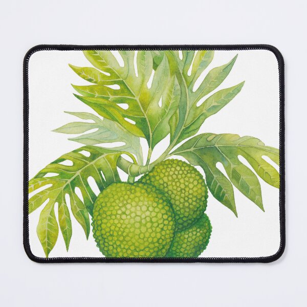 Item preview, Watercolor breadfruit designed and sold by Ekaterina Glazkova.