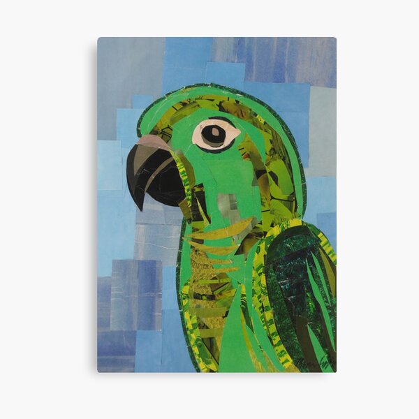 Conor the Green Conure Canvas Print