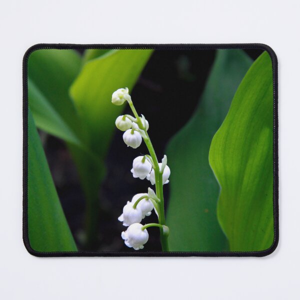 Item preview, Lily of the Valley  designed and sold by Tamara Travers.