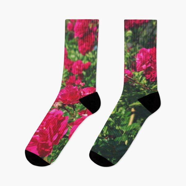 Item preview, Blooming Red Roses designed and sold by MorningFive.