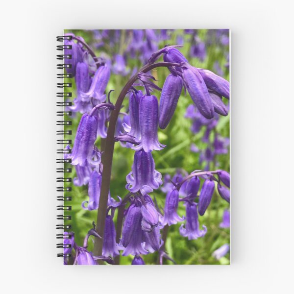 Artikelvorschau, Glockenblume (2018) entworfen und verkauft von Tizz07.