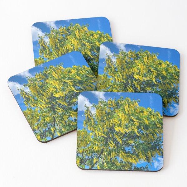 Item preview, Laburnum tree against a blue sky designed and sold by Violaman.