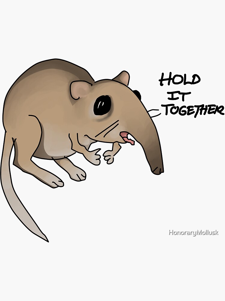 "Elephant Shrew" Sticker by HonoraryMollusk | Redbubble