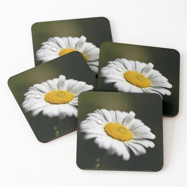 Item preview, Daisy with water droplets designed and sold by PhotosByHung.