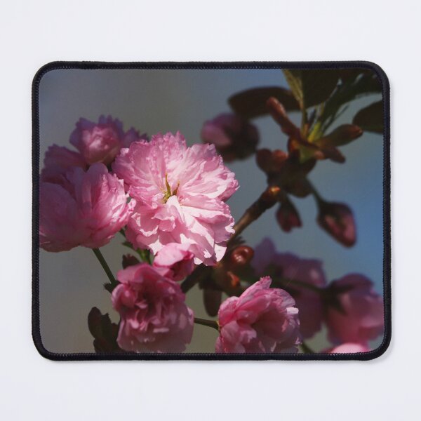 Item preview, Japanese Cherry designed and sold by PhotosByHung.